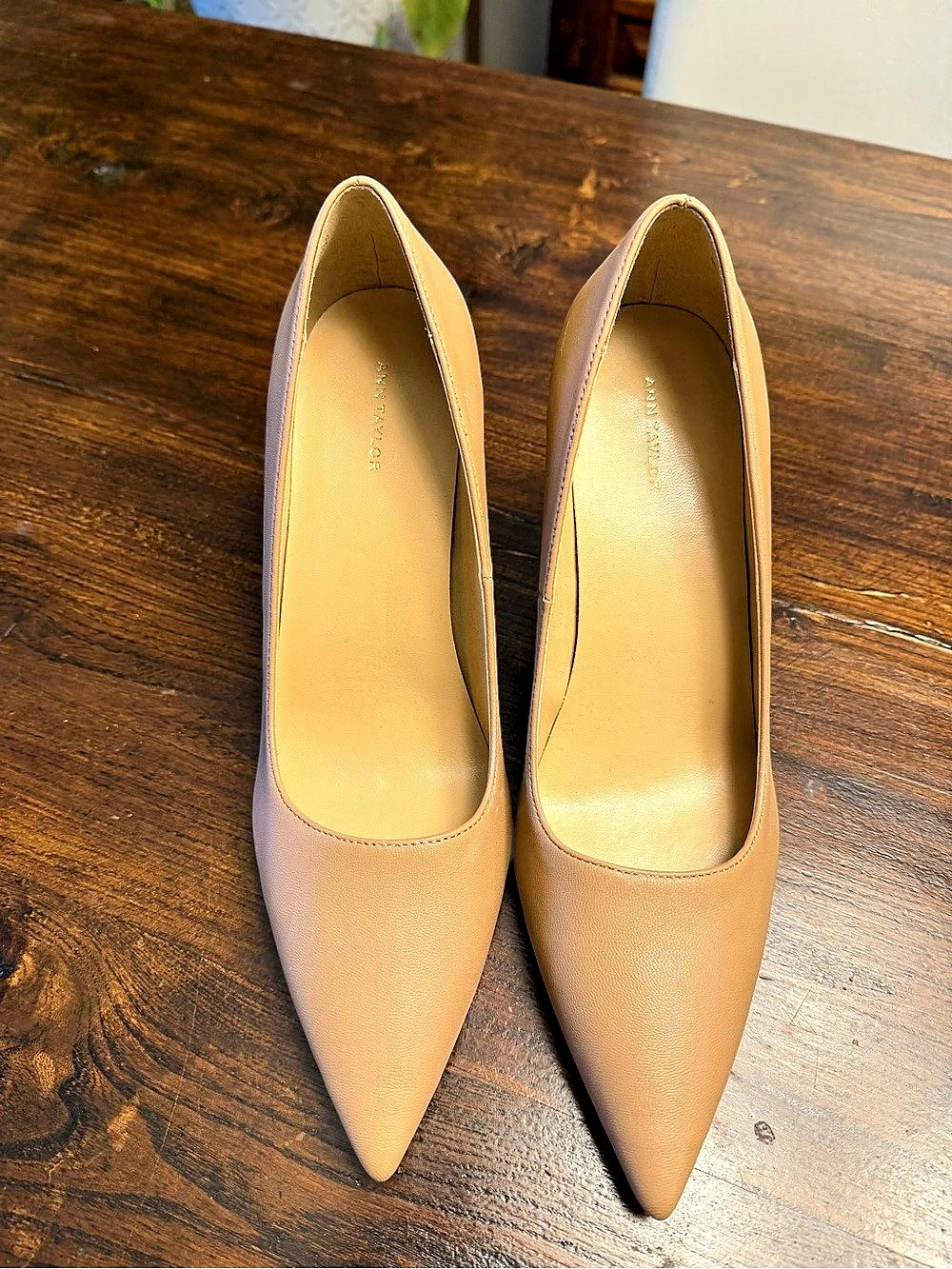 Ann Taylor Pointed Toe Heels in Brown US 8